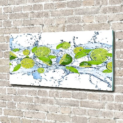 Cuadro metacrilato horizontal Limas y agua