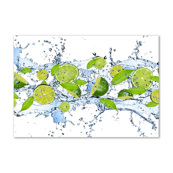 Cuadro metacrilato horizontal Limas y agua