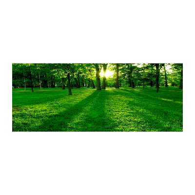 Pintura en acrílico horizontal Césped en el parque