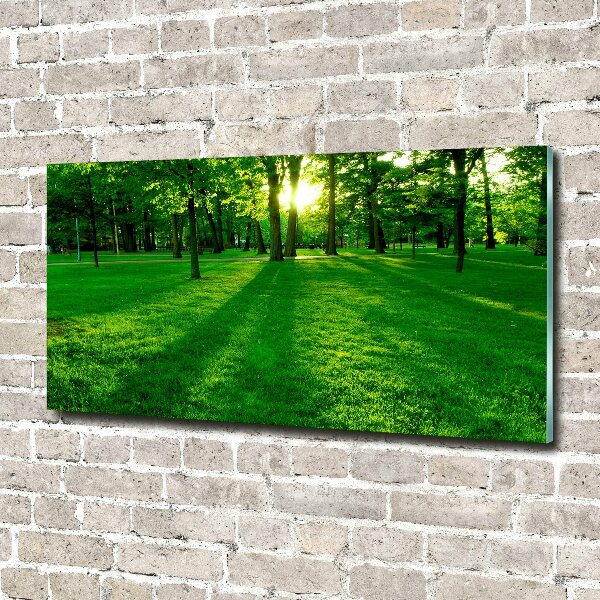 Foto obraz szkło akryl Trawa w parku
