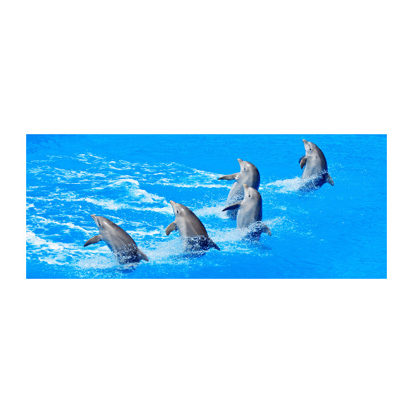 Pintura en acrílico horizontal Delfines