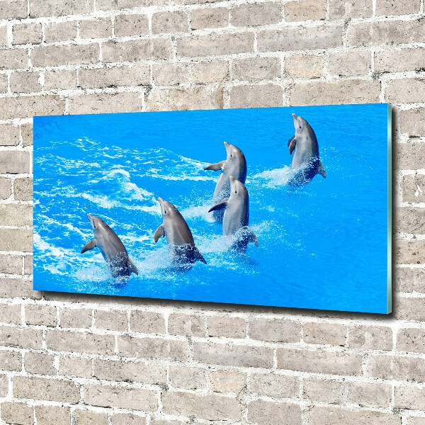 Pintura en acrílico horizontal Delfines