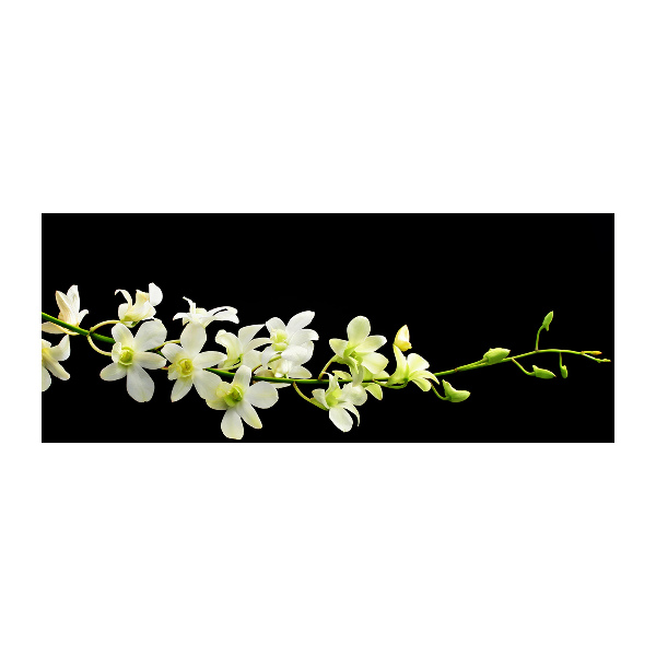 Cuadro metacrilato horizontal Orquídea