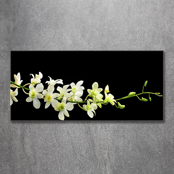 Cuadro metacrilato horizontal Orquídea