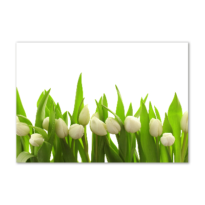 Foto en metacrilato horizontal tulipanes blancos