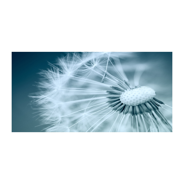 Cuadro metacrilato horizontal Diente de león