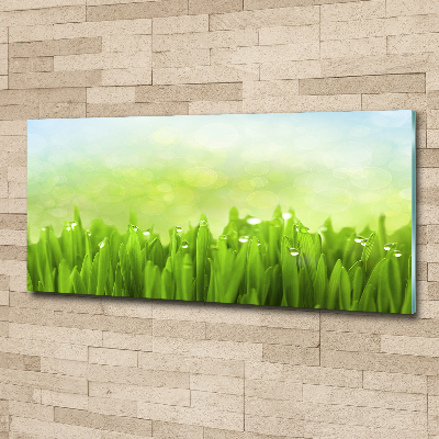 Foto en metacrilato horizontal Césped