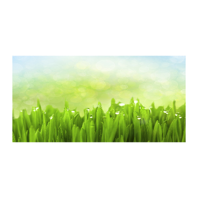 Foto en metacrilato horizontal Césped