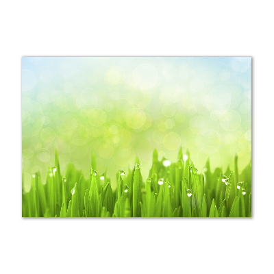 Foto en metacrilato horizontal Césped