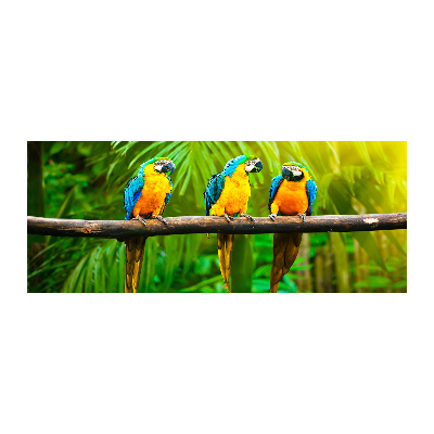 Foto en metacrilato horizontal Loros en una rama