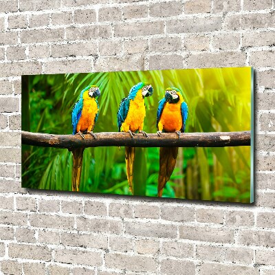Foto en metacrilato horizontal Loros en una rama