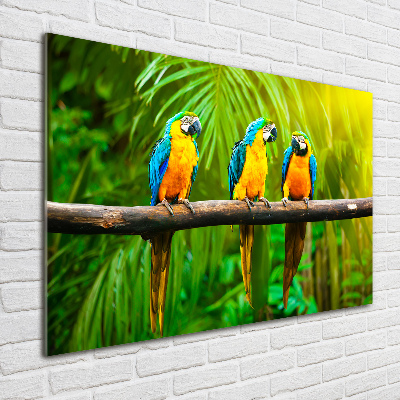 Foto en metacrilato horizontal Loros en una rama