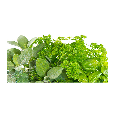 Foto en metacrilato horizontal Hierbas