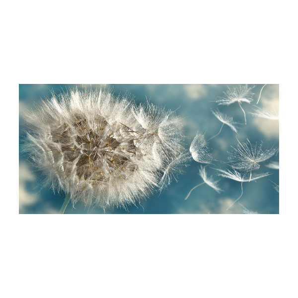 Foto en metacrilato horizontal Dientes de león