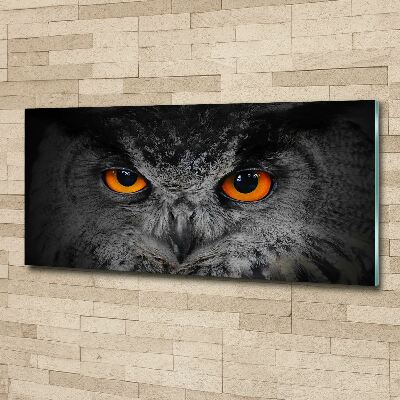Pintura en acrílico horizontal Ojos de búho diabólicos