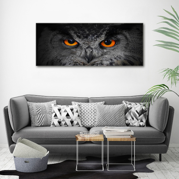 Pintura en acrílico horizontal Ojos de búho diabólicos