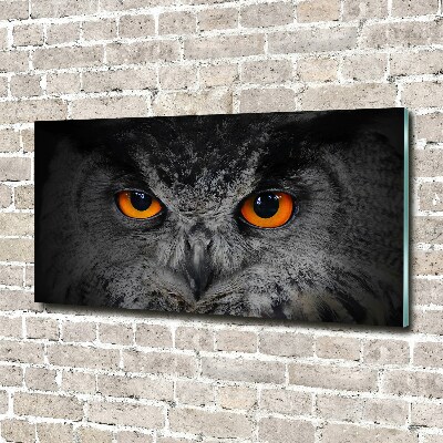 Pintura en acrílico horizontal Ojos de búho diabólicos
