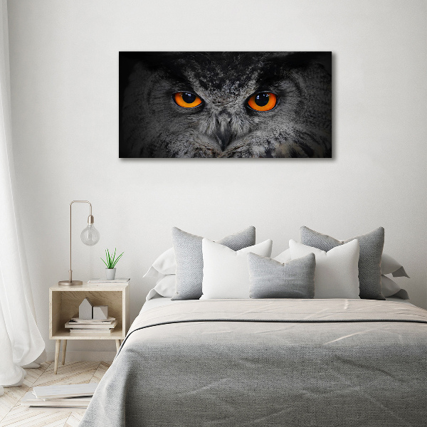 Pintura en acrílico horizontal Ojos de búho diabólicos