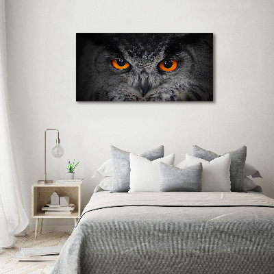 Pintura en acrílico horizontal Ojos de búho diabólicos