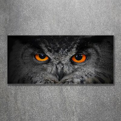 Pintura en acrílico horizontal Ojos de búho diabólicos
