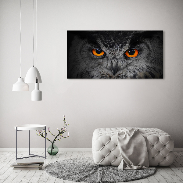 Pintura en acrílico horizontal Ojos de búho diabólicos