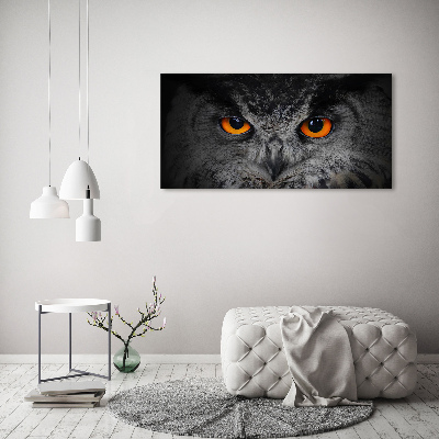 Pintura en acrílico horizontal Ojos de búho diabólicos