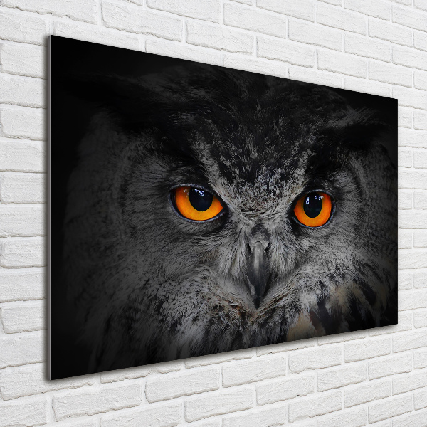 Pintura en acrílico horizontal Ojos de búho diabólicos