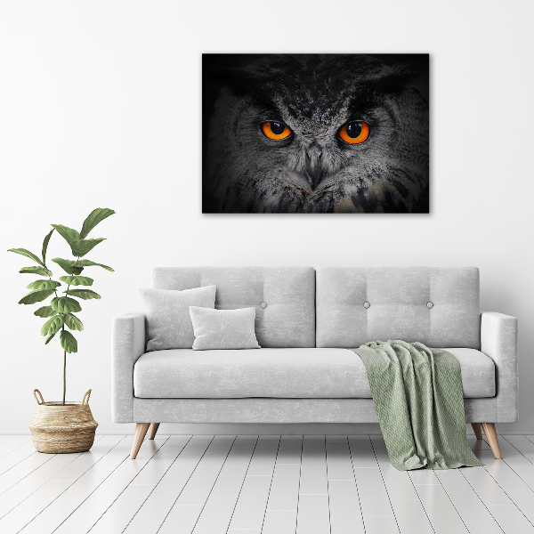 Pintura en acrílico horizontal Ojos de búho diabólicos