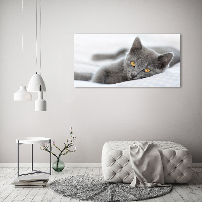Cuadro metacrilato horizontal gato gris
