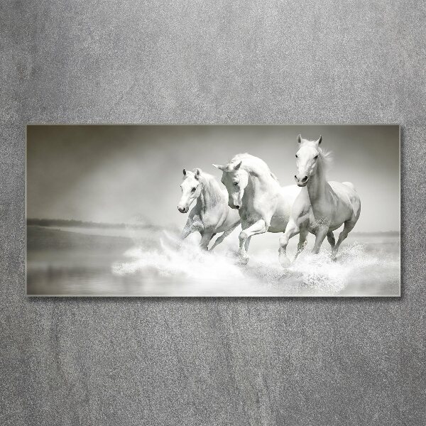 Foto en metacrilato horizontal Caballos blancos