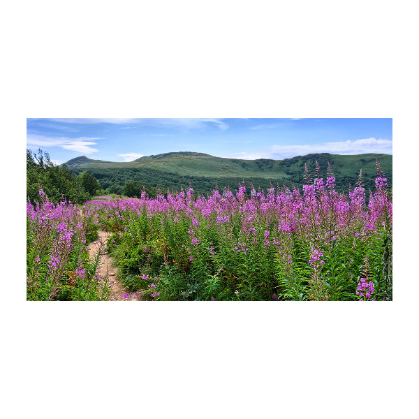 Cuadro metacrilato horizontal Colinas verdes