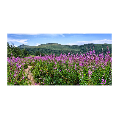 Cuadro metacrilato horizontal Colinas verdes