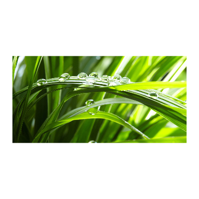 Cuadro acrílico horizontal Gotas sobre la hierba