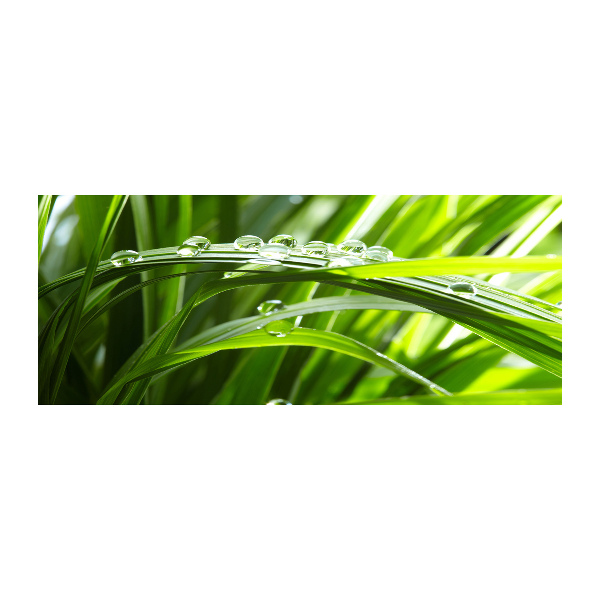 Cuadro acrílico horizontal Gotas sobre la hierba