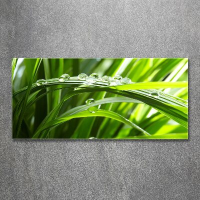Cuadro acrílico horizontal Gotas sobre la hierba