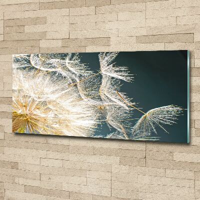 Cuadro metacrilato horizontal semillas de diente de león