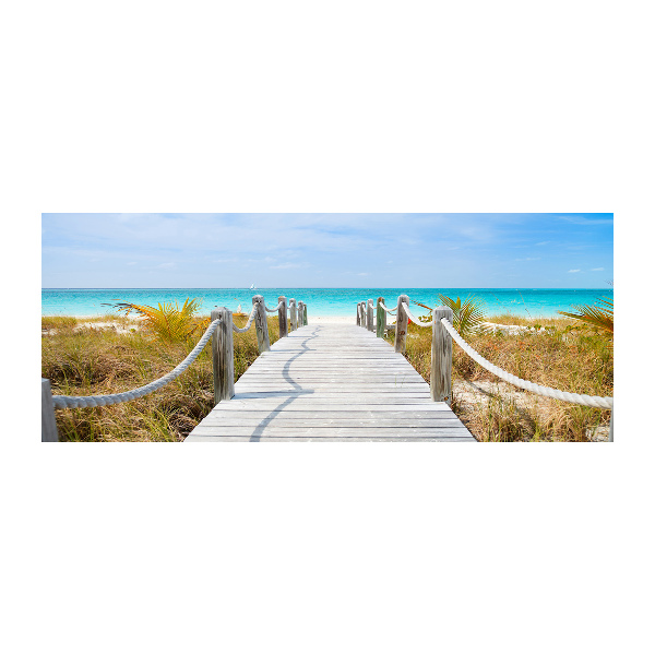 Cuadro metacrilato horizontal Camino junto al mar