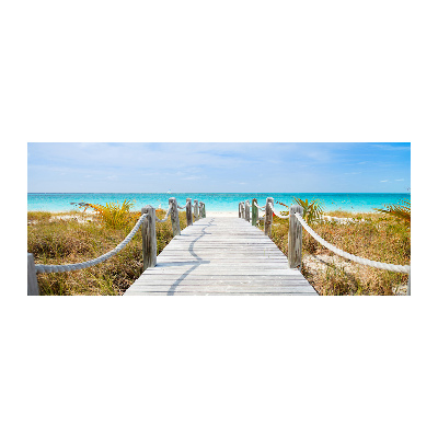 Cuadro metacrilato horizontal Camino junto al mar