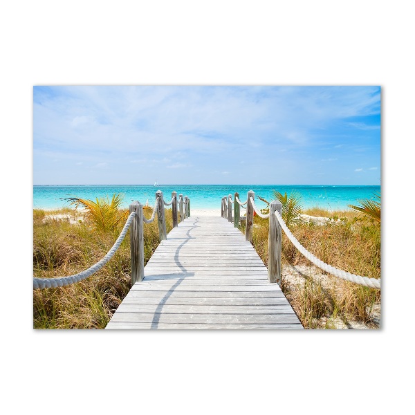 Cuadro metacrilato horizontal Camino junto al mar