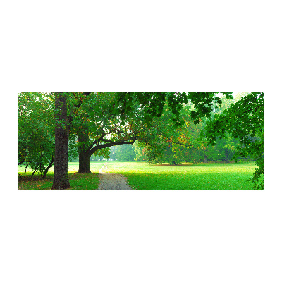 Cuadro acrílico horizontal Parque en otoño