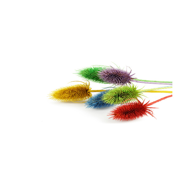 Cuadro metacrilato horizontal Cardo