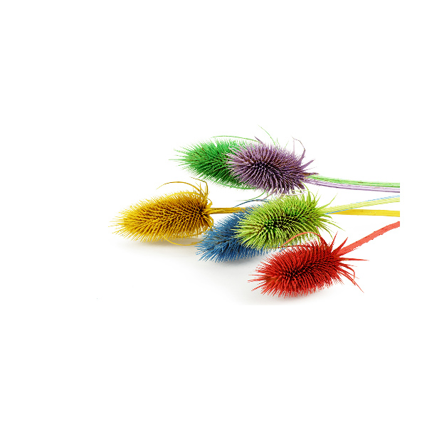 Cuadro metacrilato horizontal Cardo