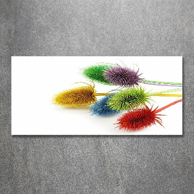 Cuadro metacrilato horizontal Cardo