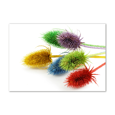 Obraz zdjęcie na scianę pleksi Oset