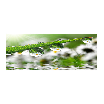 Foto en metacrilato horizontal Gotas sobre la hierba