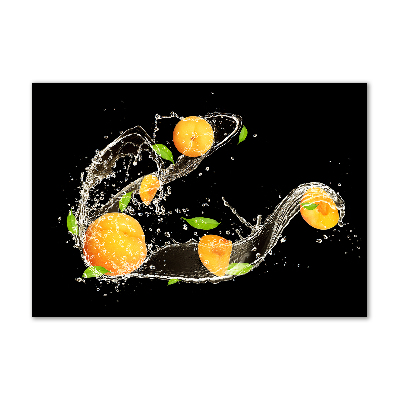Cuadro metacrilato horizontal Albaricoques y agua