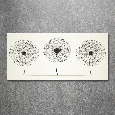 Cuadro acrílico horizontal Dientes de león