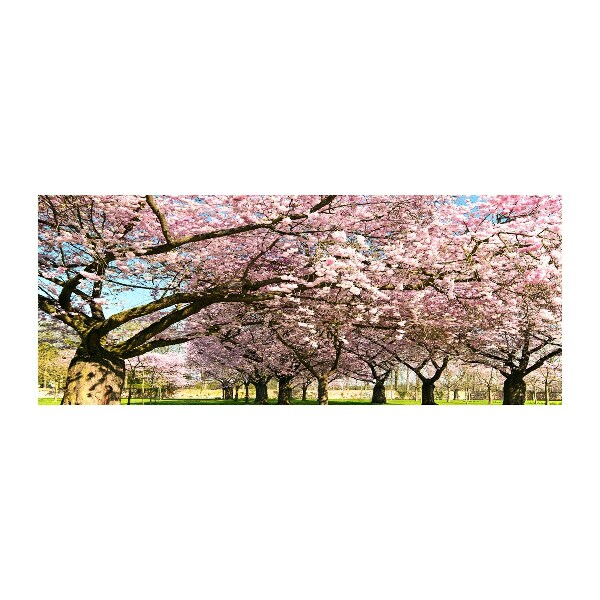 Pintura en acrílico horizontal cerezos