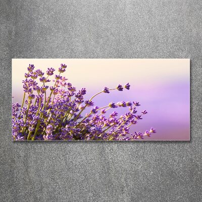 Cuadro metacrilato horizontal Lavanda