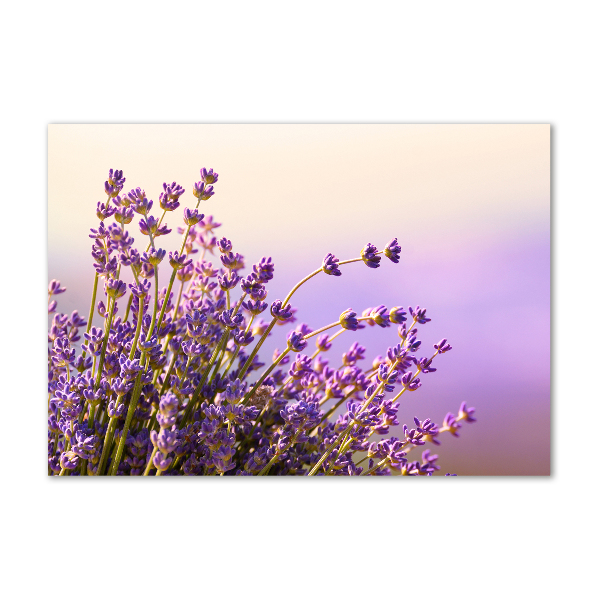 Cuadro metacrilato horizontal Lavanda